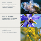 Présentation des ingrédients du baume ELEMIS Pro-Collagen : algue Padina pavonica, huile de bourrache et cire de mimosa.