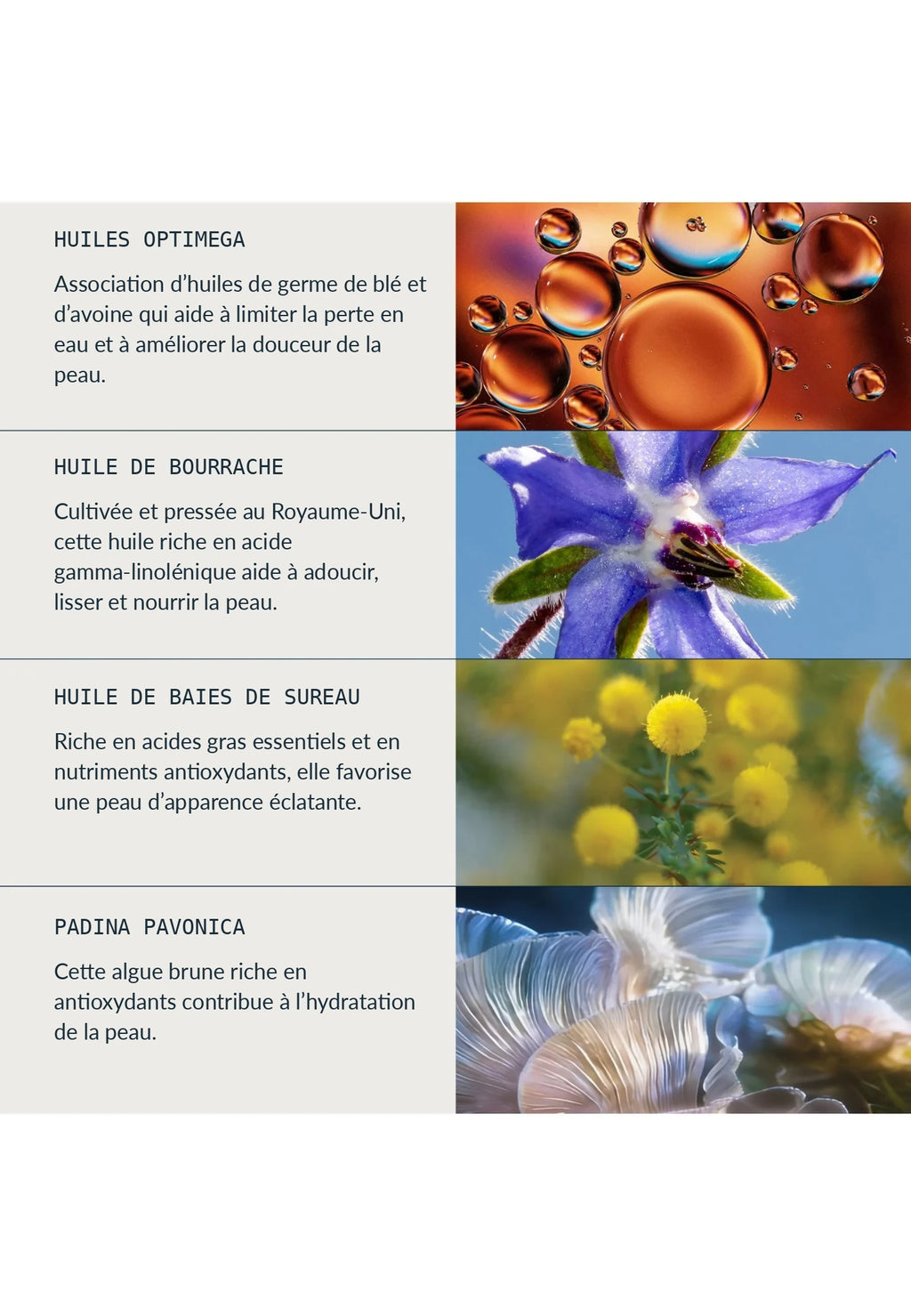 Infographie des ingrédients mis en avant dans le baume nettoyant ELEMIS Green Fig
