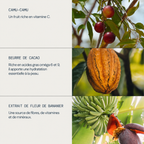 Présentation du camu-camu, du beurre de cacao et de la fleur de bananier de la crème ELEMIS Superfood Midnight Facial.