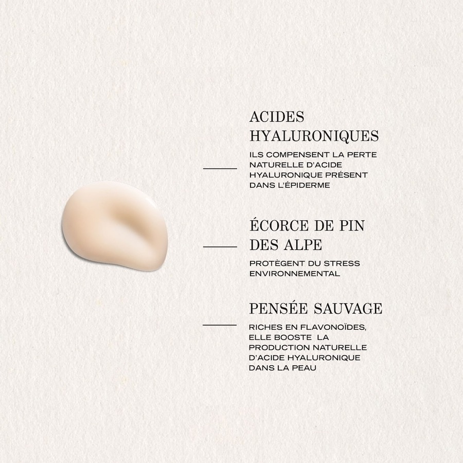 Actifs du sérum PAYOT Lisse : acides hyaluroniques, pin des Alpes et pensée sauvage.
